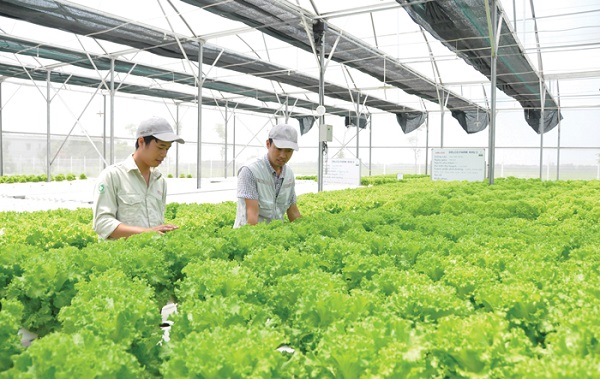 Phạt nặng nếu vi phạm kiểm dịch thực vật, thú y