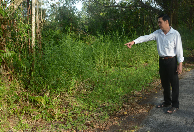 Chuyện 'độc' về heo rừng U Minh Thượng: Bị heo rừng 'nhát ma'