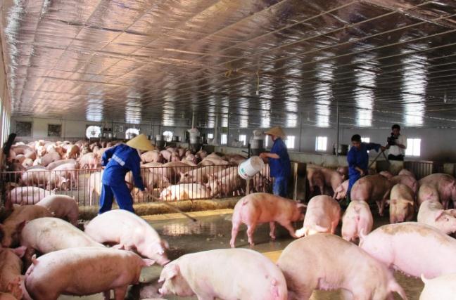 6 tháng đầu năm, chăn nuôi lỗ nặng, thủy sản khởi sắc