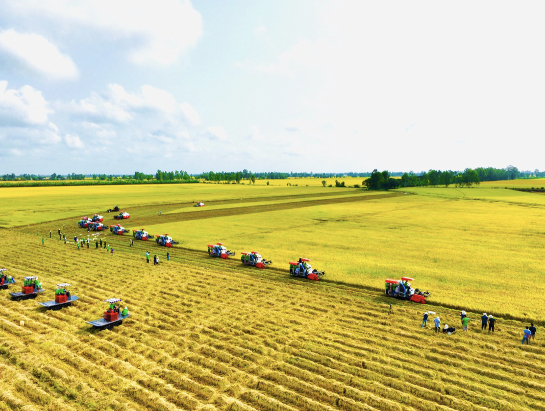 Cấp mã số cho hơn 1.200 vùng trồng nông sản ở Đồng Tháp