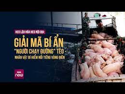 Heo lậu hóa heo nội địa: Giải mã "người chạy đường" Tèo - nhân vật bí hiểm nổi tiếng vùng biên