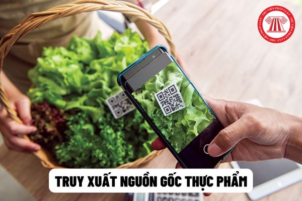Khi có yêu cầu thực hiện truy xuất nguồn gốc thực phẩm, cơ sở phải làm những công việc gì? Trình tự truy xuất nguồn gốc thực phẩm không bảo đảm an toàn thực hiện thế nào?